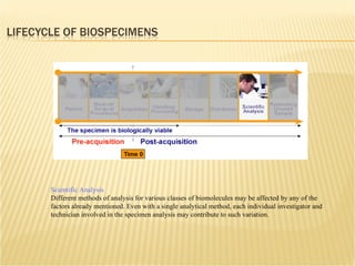 Scientific Analysis Different methods of analysis for various classes of biomolecules may be affected by any of the factors already mentioned. Even with a single analytical method, each individual investigator and technician involved in the specimen analysis may contribute to such variation. 