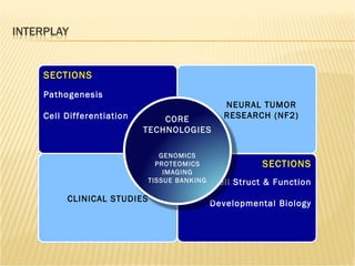 CLINICAL STUDIES SECTIONS Cell Struct & Function Developmental Biology NEURAL TUMOR RESEARCH (NF2) SECTIONS Pathogenesis Cell Differentiation CORE TECHNOLOGIES GENOMICS PROTEOMICS IMAGING TISSUE BANKING 