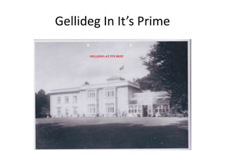 Gellideg In It’s Prime
 