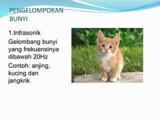 PENGELOMPOKAN
BUNYI
1.Infrasonik
Gelombang bunyi
yang frekuensinya
dibawah 20Hz
Contoh: anjing,
kucing dan
jangkrik
 