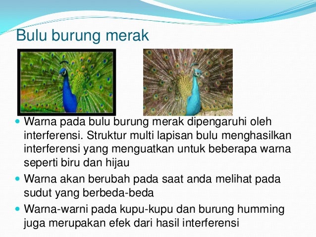 Power Point Pembiasan Cahaya Dari Power Point Pembiasan Cahaya Dari
