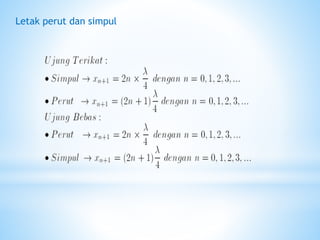 Letak perut dan simpul
 