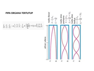 PIPA ORGANA TERTUTUP
 
