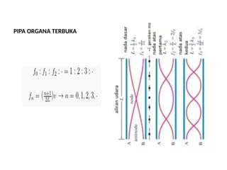 PIPA ORGANA TERBUKA
 