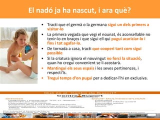 Tracti que el germà o la germana  sigui un dels primers a visitar-lo La primera vegada que vegi el nounat, és aconsellable no tenir-lo en braços i que sigui ell qui  pugui acariciar-lo i fins i tot agafar-lo.   De tornada a casa, tracti  que cooperi tant com sigui possible   Si la criatura ignora el nouvingut  no   forci la situació , quan ho cregui convenient se li acostarà.  Mantingui els seus espais  i les seves pertinences, i respecti'ls.  Tregui temps d’on pugui  per a dedicar-l'hi en exclusiva.  El nadó ja ha nascut, i ara què? 