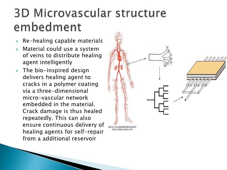 Self healing Materials