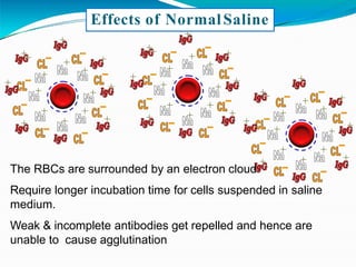 Effects of NormalSaline
The RBCs are surrounded by an electron cloud
Require longer incubation time for cells suspended in saline
medium.
Weak & incomplete antibodies get repelled and hence are
unable to cause agglutination
 