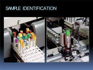 SAMPLE IDENTIFICATION
 