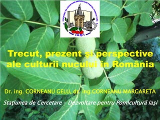 Trecut, prezent şi perspective
 ale culturii nucului în România

Dr. ing. CORNEANU GELU, dr. ing.CORNEANU MARGARETA

Staţiunea de Cercetare – Dezvoltare pentru Pomicultură Iaşi
 