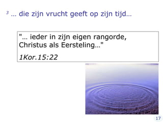3  … die zijn vrucht geeft op zijn tijd… "… ieder in zijn eigen rangorde, Christus als Eersteling…" 1Kor.15:22 17 