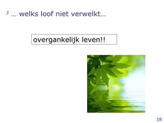 3  … welks loof niet verwelkt… overgankelijk leven!!  18 