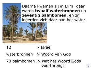 Daarna kwamen zij in Elim; daar waren  twaalf waterbronnen  en  zeventig palmbomen , en zij legerden zich daar aan het water. 12    > Israël  waterbronnen  > Woord van God 70 palmbomen  > wat het Woord Gods   voortbrengt 5 