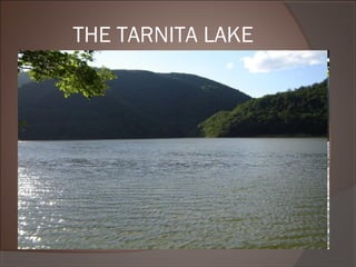 THE TARNITA LAKE
 