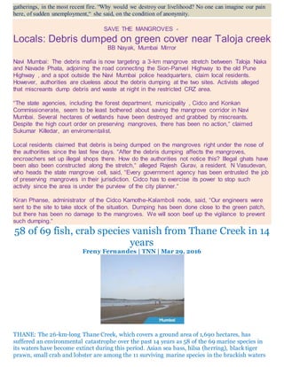 gatherings, in the most recent fire. “Why would we destroy our livelihood? No one can imagine our pain
here, of sudden unemployment,“ she said, on the condition of anonymity.
SAVE THE MANGROVES -
Locals: Debris dumped on green cover near Taloja creek
BB Nayak, Mumbai Mirror
Navi Mumbai: The debris mafia is now targeting a 3-km mangrove stretch between Taloja Naka
and Navade Phata, adjoining the road connecting the Sion-Panvel Highway to the old Pune
Highway , and a spot outside the Navi Mumbai police headquarters, claim local residents.
However, authorities are clueless about the debris dumping at the two sites. Activists alleged
that miscreants dump debris and waste at night in the restricted CRZ area.
“The state agencies, including the forest department, municipality , Cidco and Konkan
Commissionerate, seem to be least bothered about saving the mangrove corridor in Navi
Mumbai. Several hectares of wetlands have been destroyed and grabbed by miscreants.
Despite the high court order on preserving mangroves, there has been no action,“ claimed
Sukumar Killedar, an enviromentalist.
Local residents claimed that debris is being dumped on the mangroves right under the nose of
the authorities since the last few days. “After the debris dumping affects the mangroves,
encroachers set up illegal shops there. How do the authorities not notice this? Illegal ghats have
been also been constructed along the stretch,“ alleged Rajesh Gurav, a resident. N Vasudevan,
who heads the state mangrove cell, said, “Every government agency has been entrusted the job
of preserving mangroves in their jurisdiction. Cidco has to exercise its power to stop such
activity since the area is under the purview of the city planner.“
Kiran Phanse, administrator of the Cidco Kamothe-Kalamboli node, said, “Our engineers were
sent to the site to take stock of the situation. Dumping has been done close to the green patch,
but there has been no damage to the mangroves. We will soon beef up the vigilance to prevent
such dumping.“
58 of 69 fish, crab species vanish from Thane Creek in 14
years
Freny Fernandes | TNN | Mar 29, 2016
THANE: The 26-km-long Thane Creek, which covers a ground area of 1,690 hectares, has
suffered an environmental catastrophe over the past 14 years as 58 of the 69 marine species in
its waters have become extinct during this period. Asian sea bass, hilsa (herring), black tiger
prawn, small crab and lobster are among the 11 surviving marine species in the brackish waters
 