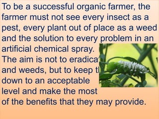 To be a successful organic farmer, the
farmer must not see every insect as a
pest, every plant out of place as a weed
and the solution to every problem in an
artificial chemical spray.
The aim is not to eradicate all pests
and weeds, but to keep them
down to an acceptable
level and make the most
of the benefits that they may provide.
 