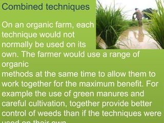 Combined techniques
On an organic farm, each
technique would not
normally be used on its
own. The farmer would use a range of
organic
methods at the same time to allow them to
work together for the maximum benefit. For
example the use of green manures and
careful cultivation, together provide better
control of weeds than if the techniques were
 