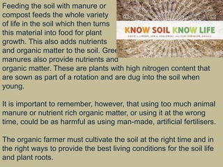 Feeding the soil with manure or
compost feeds the whole variety
of life in the soil which then turns
this material into food for plant
growth. This also adds nutrients
and organic matter to the soil. Green
manures also provide nutrients and
organic matter. These are plants with high nitrogen content that
are sown as part of a rotation and are dug into the soil when
young.
It is important to remember, however, that using too much animal
manure or nutrient rich organic matter, or using it at the wrong
time, could be as harmful as using man-made, artificial fertilisers.
The organic farmer must cultivate the soil at the right time and in
the right ways to provide the best living conditions for the soil life
and plant roots.
 