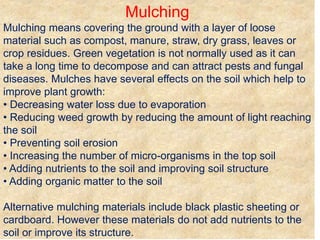 Mulching
Mulching means covering the ground with a layer of loose
material such as compost, manure, straw, dry grass, leaves or
crop residues. Green vegetation is not normally used as it can
take a long time to decompose and can attract pests and fungal
diseases. Mulches have several effects on the soil which help to
improve plant growth:
• Decreasing water loss due to evaporation
• Reducing weed growth by reducing the amount of light reaching
the soil
• Preventing soil erosion
• Increasing the number of micro-organisms in the top soil
• Adding nutrients to the soil and improving soil structure
• Adding organic matter to the soil
Alternative mulching materials include black plastic sheeting or
cardboard. However these materials do not add nutrients to the
soil or improve its structure.
 