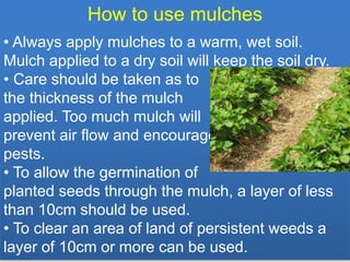 How to use mulches
• Always apply mulches to a warm, wet soil.
Mulch applied to a dry soil will keep the soil dry.
• Care should be taken as to
the thickness of the mulch
applied. Too much mulch will
prevent air flow and encourage
pests.
• To allow the germination of
planted seeds through the mulch, a layer of less
than 10cm should be used.
• To clear an area of land of persistent weeds a
layer of 10cm or more can be used.
 