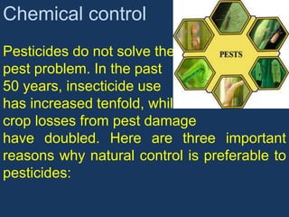 Chemical control
Pesticides do not solve the
pest problem. In the past
50 years, insecticide use
has increased tenfold, while
crop losses from pest damage
have doubled. Here are three important
reasons why natural control is preferable to
pesticides:
 