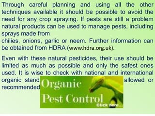 Through careful planning and using all the other
techniques available it should be possible to avoid the
need for any crop spraying. If pests are still a problem
natural products can be used to manage pests, including
sprays made from
chilies, onions, garlic or neem. Further information can
be obtained from HDRA (www.hdra.org.uk).
Even with these natural pesticides, their use should be
limited as much as possible and only the safest ones
used. It is wise to check with national and international
organic standards to see which ones are allowed or
recommended.
 