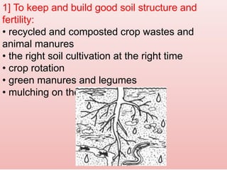 1] To keep and build good soil structure and
fertility:
• recycled and composted crop wastes and
animal manures
• the right soil cultivation at the right time
• crop rotation
• green manures and legumes
• mulching on the soil surface
 