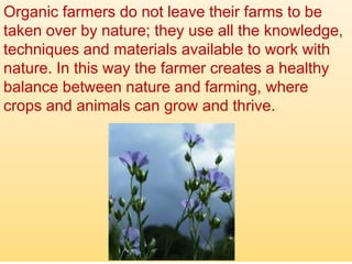 Organic farmers do not leave their farms to be
taken over by nature; they use all the knowledge,
techniques and materials available to work with
nature. In this way the farmer creates a healthy
balance between nature and farming, where
crops and animals can grow and thrive.
 