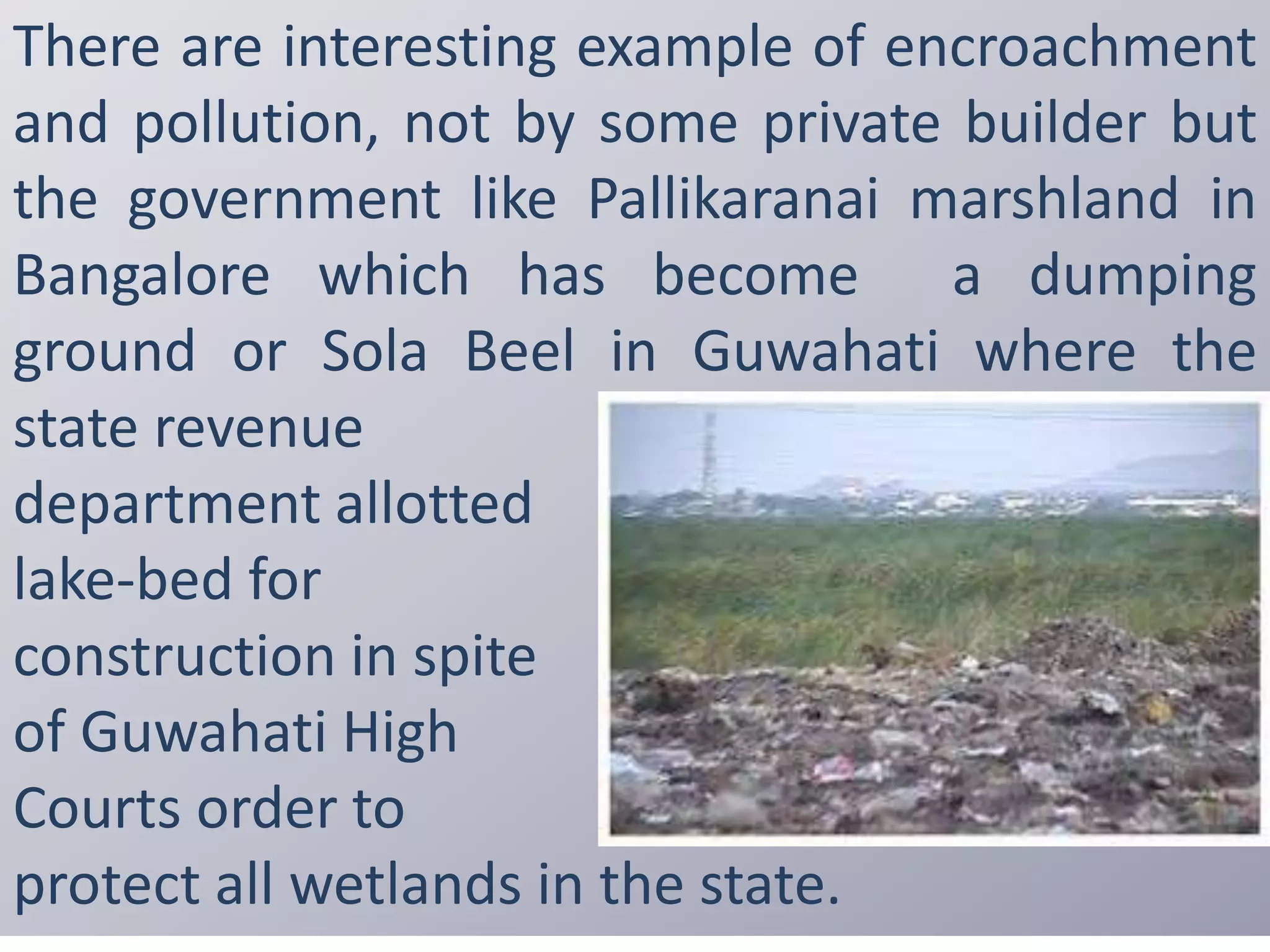 There are interesting example of encroachment
and pollution, not by some private builder but
the government like Pallikaranai marshland in
Bangalore which has become a dumping
ground or Sola Beel in Guwahati where the
state revenue
department allotted
lake-bed for
construction in spite
of Guwahati High
Courts order to
protect all wetlands in the state.
 