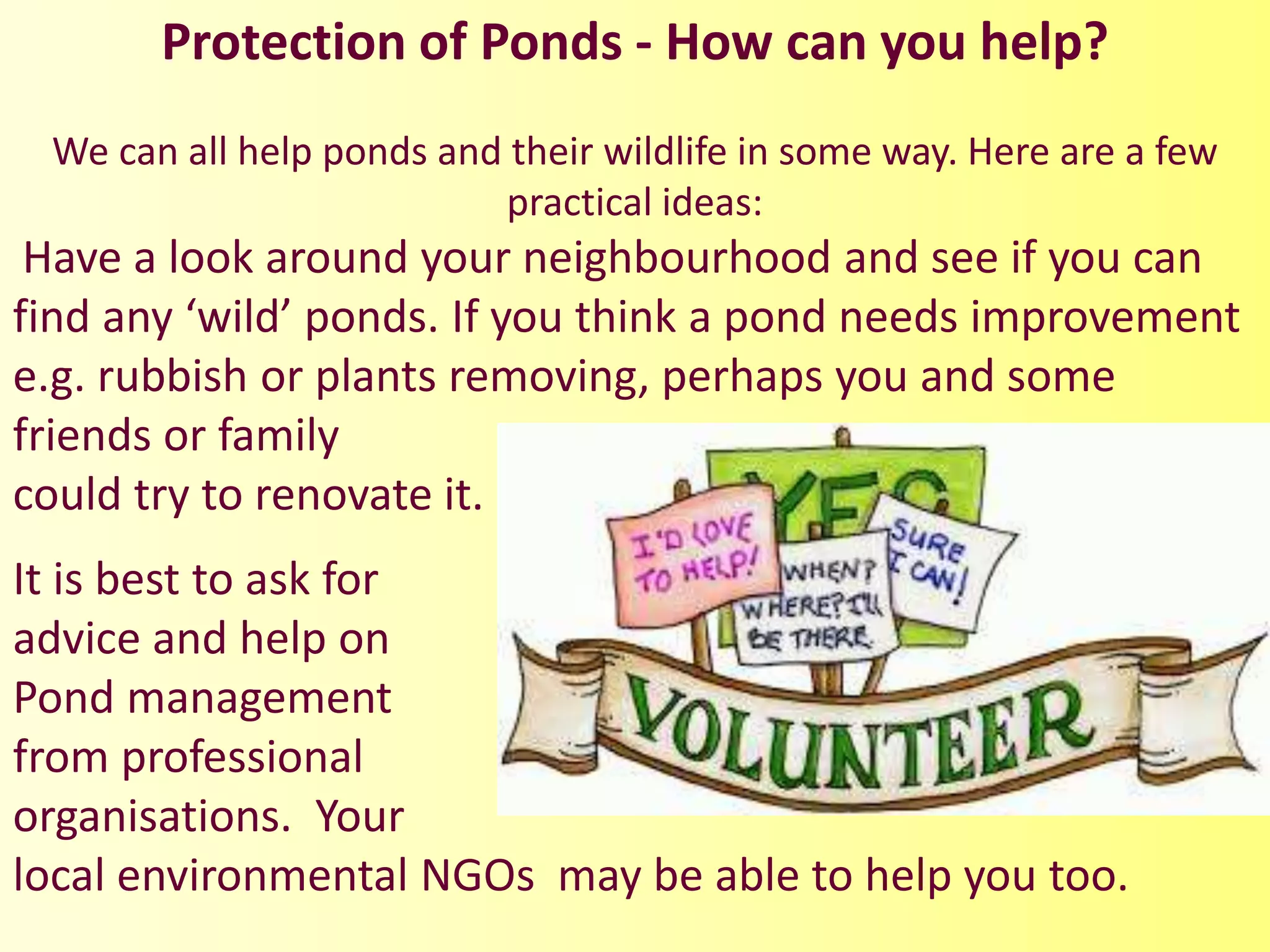 Protection of Ponds - How can you help?
We can all help ponds and their wildlife in some way. Here are a few
practical ideas:
Have a look around your neighbourhood and see if you can
find any ‘wild’ ponds. If you think a pond needs improvement
e.g. rubbish or plants removing, perhaps you and some
friends or family
could try to renovate it.
It is best to ask for
advice and help on
Pond management
from professional
organisations. Your
local environmental NGOs may be able to help you too.
 