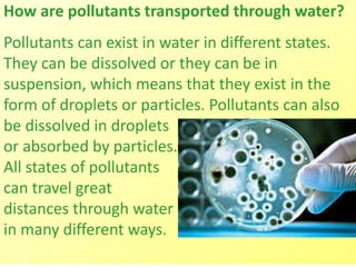 How are pollutants transported through water?
Pollutants can exist in water in different states.
They can be dissolved or they can be in
suspension, which means that they exist in the
form of droplets or particles. Pollutants can also
be dissolved in droplets
or absorbed by particles.
All states of pollutants
can travel great
distances through water
in many different ways.
 