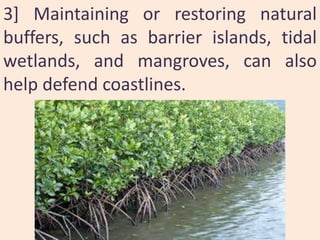 3] Maintaining or restoring natural
buffers, such as barrier islands, tidal
wetlands, and mangroves, can also
help defend coastlines.
 