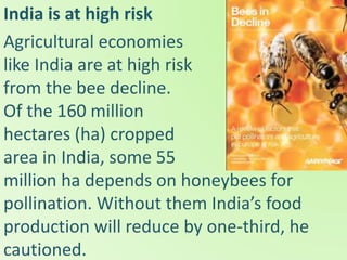 India is at high risk
Agricultural economies
like India are at high risk
from the bee decline.
Of the 160 million
hectares (ha) cropped
area in India, some 55
million ha depends on honeybees for
pollination. Without them India’s food
production will reduce by one-third, he
cautioned.
 