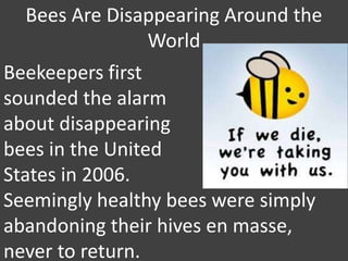 Bees Are Disappearing Around the
World
Beekeepers first
sounded the alarm
about disappearing
bees in the United
States in 2006.
Seemingly healthy bees were simply
abandoning their hives en masse,
never to return.
 