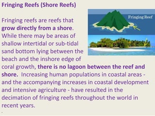 Fringing Reefs (Shore Reefs)
Fringing reefs are reefs that
grow directly from a shore.
While there may be areas of
shallow intertidal or sub-tidal
sand bottom lying between the
beach and the inshore edge of
coral growth, there is no lagoon between the reef and
shore. Increasing human populations in coastal areas -
and the accompanying increases in coastal development
and intensive agriculture - have resulted in the
decimation of fringing reefs throughout the world in
recent years.
.
 