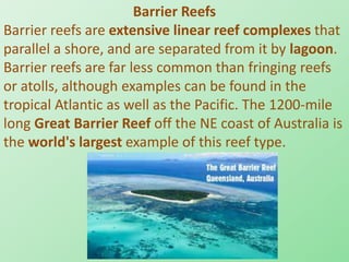 Barrier Reefs
Barrier reefs are extensive linear reef complexes that
parallel a shore, and are separated from it by lagoon.
Barrier reefs are far less common than fringing reefs
or atolls, although examples can be found in the
tropical Atlantic as well as the Pacific. The 1200-mile
long Great Barrier Reef off the NE coast of Australia is
the world's largest example of this reef type.
 