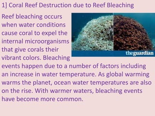 1] Coral Reef Destruction due to Reef Bleaching
Reef bleaching occurs
when water conditions
cause coral to expel the
internal microorganisms
that give corals their
vibrant colors. Bleaching
events happen due to a number of factors including
an increase in water temperature. As global warming
warms the planet, ocean water temperatures are also
on the rise. With warmer waters, bleaching events
have become more common.
 