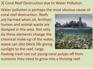 3] Coral Reef Destruction due to Water Pollution
Water pollution is perhaps the most obvious cause of
coral reef destruction. Reefs
are harmed when oil, fertilizer,
human and animal waste are
dumped in the area. Not only
do these elements change the
chemical make-up of the water,
waste can also block life-giving
sunlight to the reef. Large
floating trash can cut young coral polyps off from
nutrients they need to grow into a thriving reef.
 