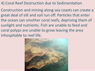 4] Coral Reef Destruction due to Sedimentation
Construction and mining along sea coasts can create a
great deal of silt and soil run off. Particles that enter
the ocean can smother coral reefs, depriving them of
sunlight and nutrients. Fish are unable to feed and
coral polyps are unable to grow leaving the area
inhospitable to reef life.
 
