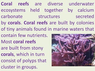 Coral reefs are diverse underwater
ecosystems held together by calcium
carbonate structures secreted
by corals. Coral reefs are built by colonies
of tiny animals found in marine waters that
contain few nutrients.
Most coral reefs
are built from stony
corals, which in turn
consist of polyps that
cluster in groups.
 