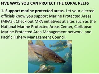 FIVE WAYS YOU CAN PROTECT THE CORAL REEFS
1. Support marine protected areas. Let your elected
officials know you support Marine Protected Areas
(MPAs). Check out MPA initiatives at sites such as the
National Marine Protected Areas Center, Caribbean
Marine Protected Area Management network, and
Pacific Fishery Management Council.
 