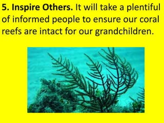 5. Inspire Others. It will take a plentiful
of informed people to ensure our coral
reefs are intact for our grandchildren.
 