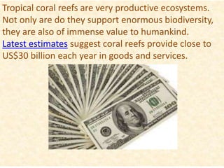 Tropical coral reefs are very productive ecosystems.
Not only are do they support enormous biodiversity,
they are also of immense value to humankind.
Latest estimates suggest coral reefs provide close to
US$30 billion each year in goods and services.
 