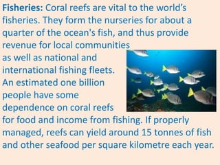 Fisheries: Coral reefs are vital to the world’s
fisheries. They form the nurseries for about a
quarter of the ocean's fish, and thus provide
revenue for local communities
as well as national and
international fishing fleets.
An estimated one billion
people have some
dependence on coral reefs
for food and income from fishing. If properly
managed, reefs can yield around 15 tonnes of fish
and other seafood per square kilometre each year.
 