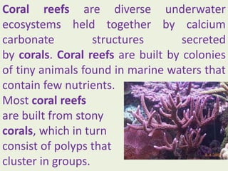 Gem ppt-40-endangered coral reaf