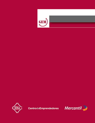 Gem 2007 2008 Venezuela Iesa