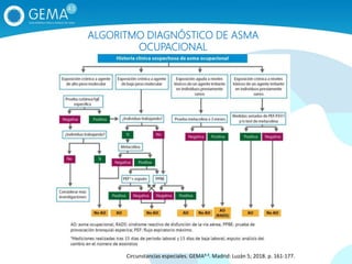 ALGORITMO DIAGNÓSTICO DE ASMA
OCUPACIONAL
Circunstancias especiales. GEMA4.3. Madrid: Luzán 5; 2018. p. 161‐177.
 