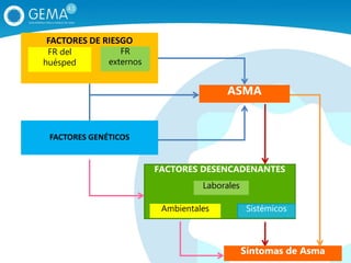 FACTORES DE RIESGO
FR del
huésped
FR
externos
FACTORES GENÉTICOS
ASMA
Síntomas de Asma
FACTORES DESENCADENANTES
Ambientales
Laborales
Sistémicos
 