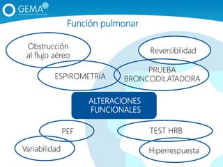 ALTERACIONES
FUNCIONALES
Obstrucción
al flujo aéreo
Reversibilidad
Variabilidad Hiperrespuesta
ESPIROMETRÍA
PRUEBA
BRONCODILATADORA
PEF TEST HRB
Función pulmonar
 