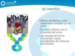 IgE específica
• Menor sensibilidad pero
mayor especificidad que el
prick
• No tiene relación con la
gravedad del asma
• IgE elevada de forma
mantenida: mayor
probabilidad de síntomas
persistentes
 