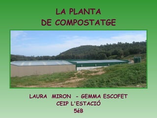 LA PLANTA DE COMPOSTATGE LAURA  MIRON  - GEMMA ESCOFET CEIP L'ESTACIÓ 5éB 